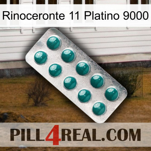 Rhino 11 Platinum 9000 dapoxetine1.jpg